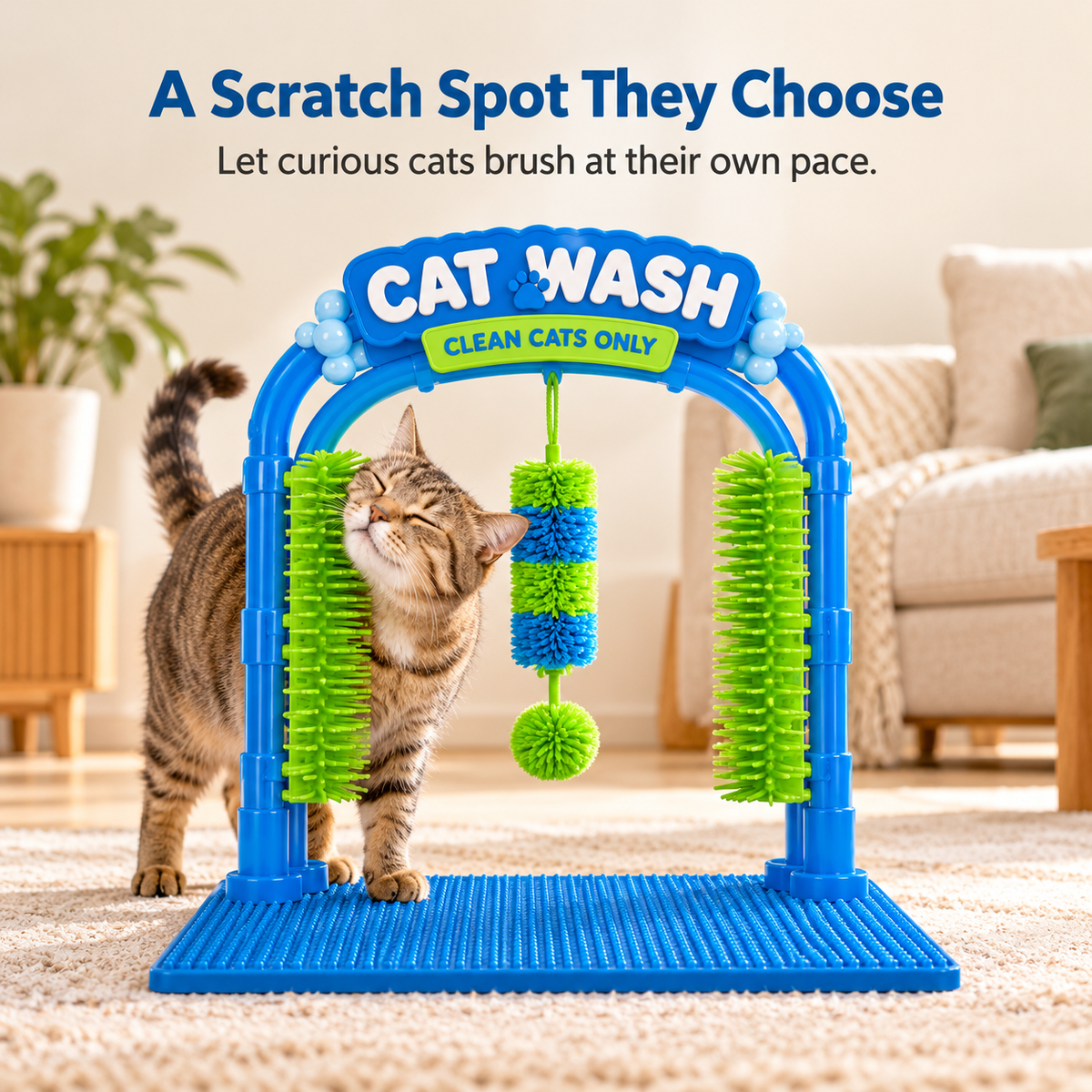 Cat Wash Self-Grooming Station